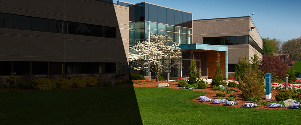 Neptune Beach Landscapers