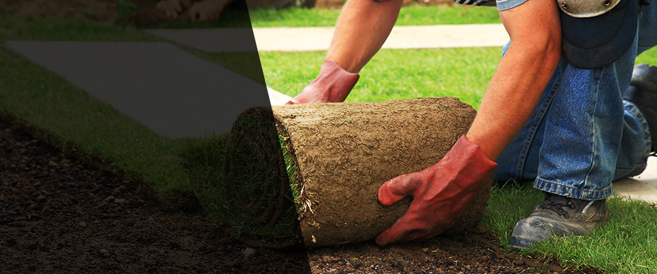 Neptune Beach Landscapers